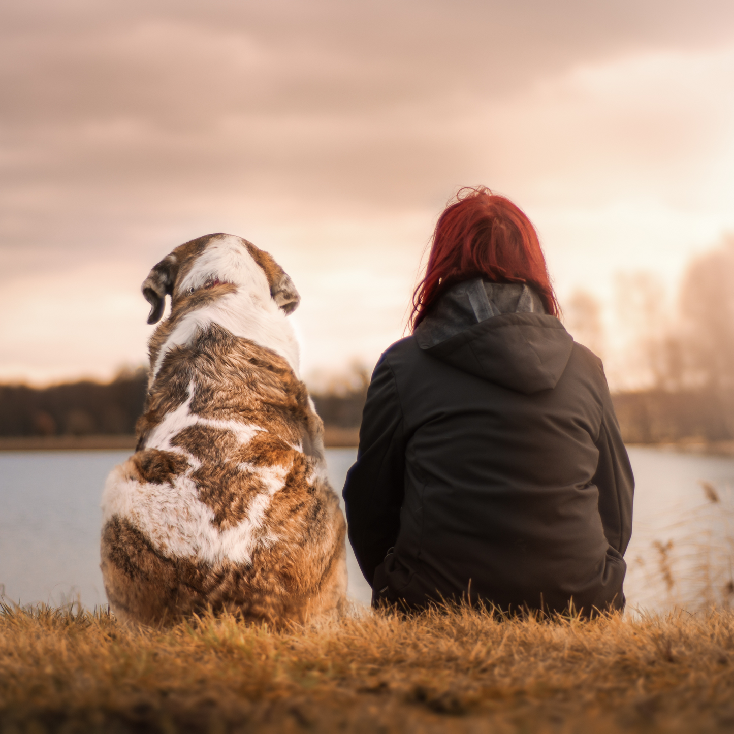 SOLO HUMANOS (NO PERROS)