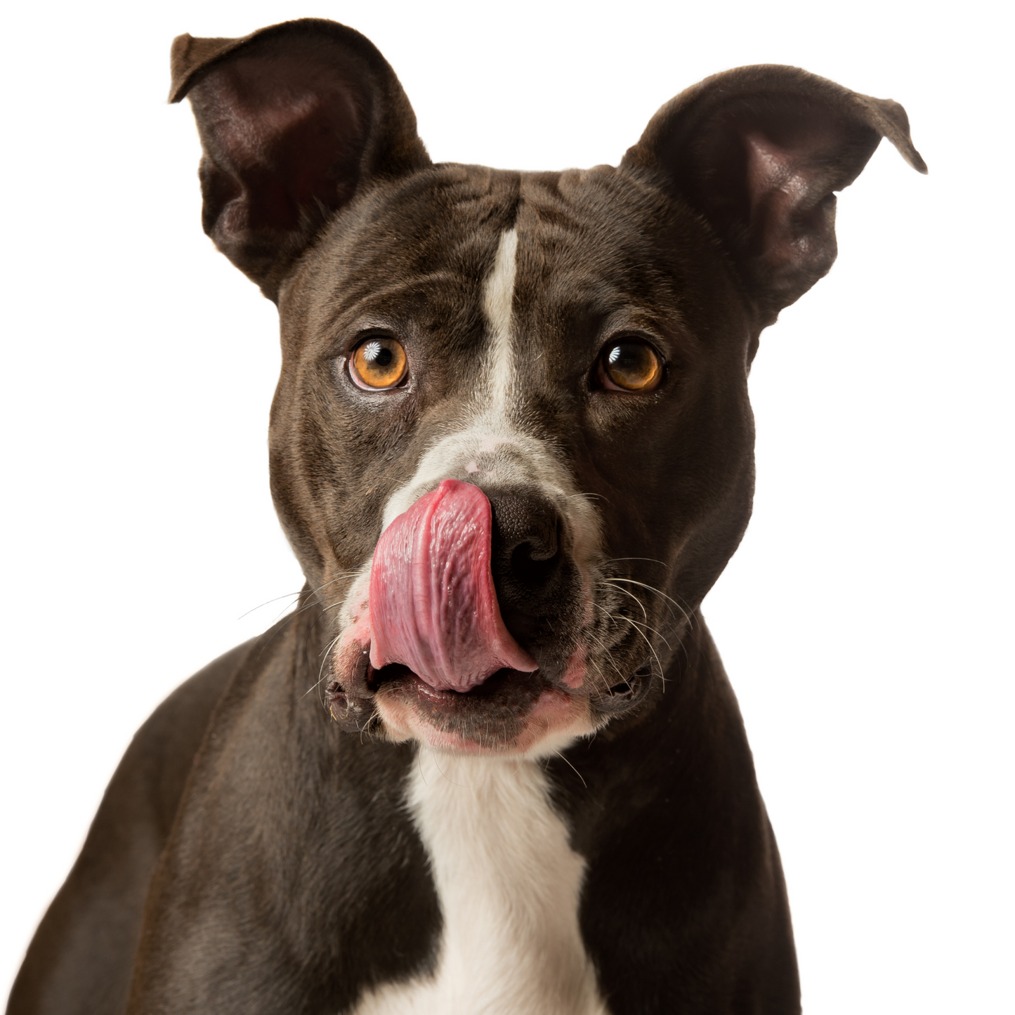LICKI MAT PEQUEÑO