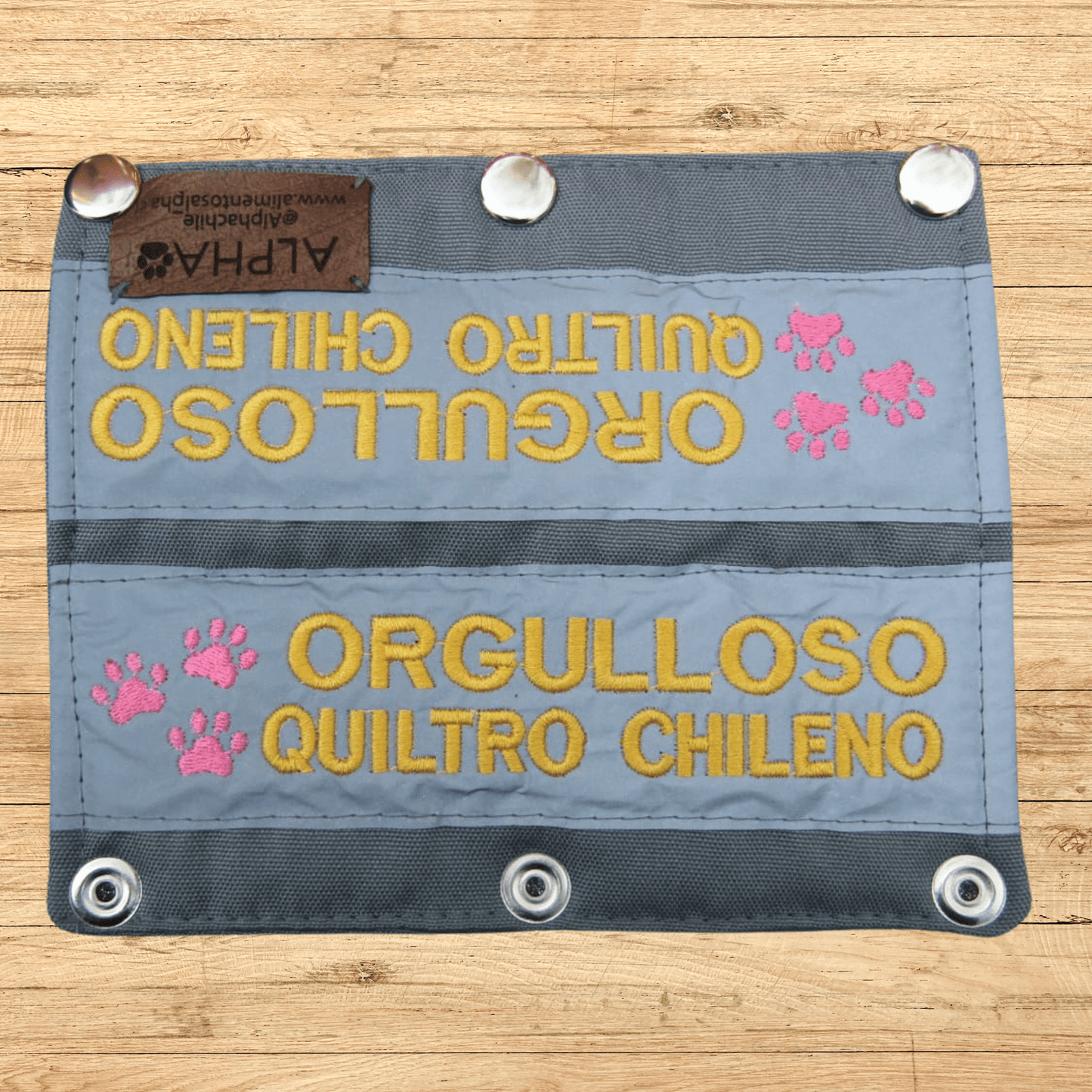 ORGULLOSO QUILTRO CHILENO