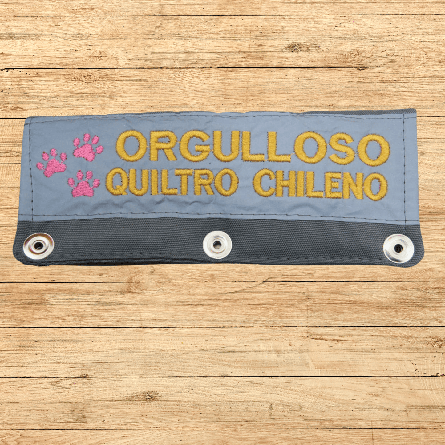 ORGULLOSO QUILTRO CHILENO