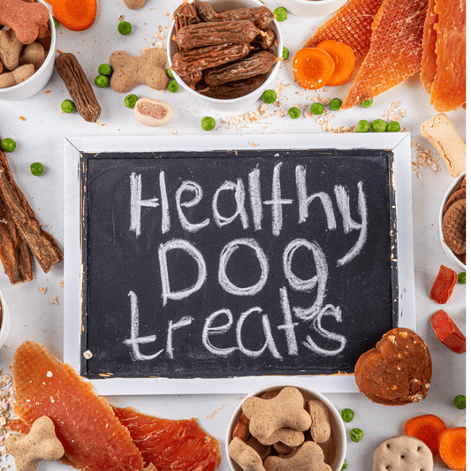 Dieta BARF y Mantequilla de Maní KAMBÚ: Beneficios para tu Perro