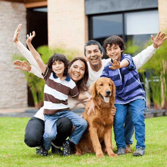 Mascotas como Parte de la Familia: Una Tendencia en Crecimiento