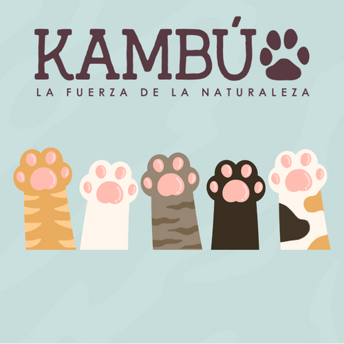 GATITOS