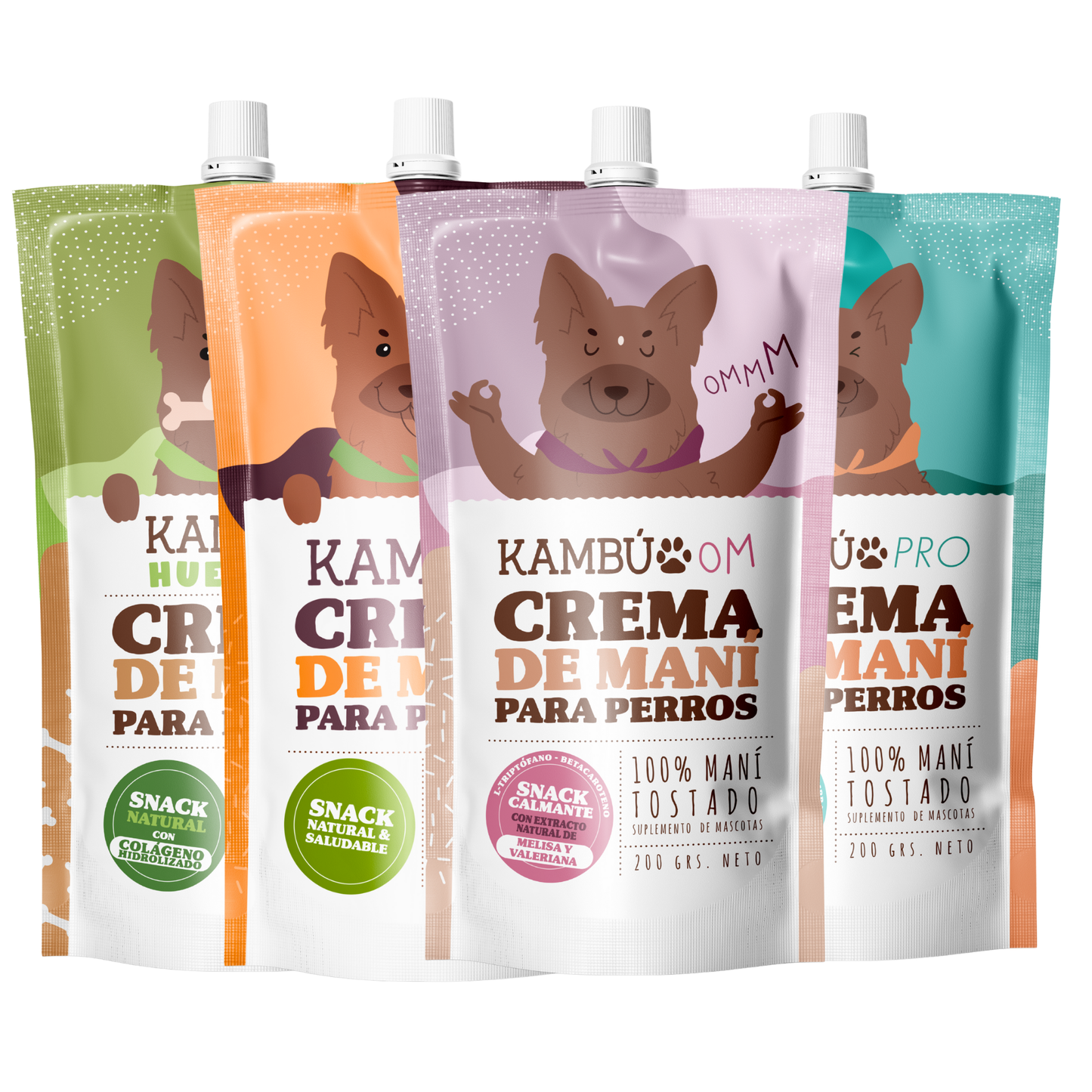 LOS 4 FANTÁSTICOS KAMBÚ