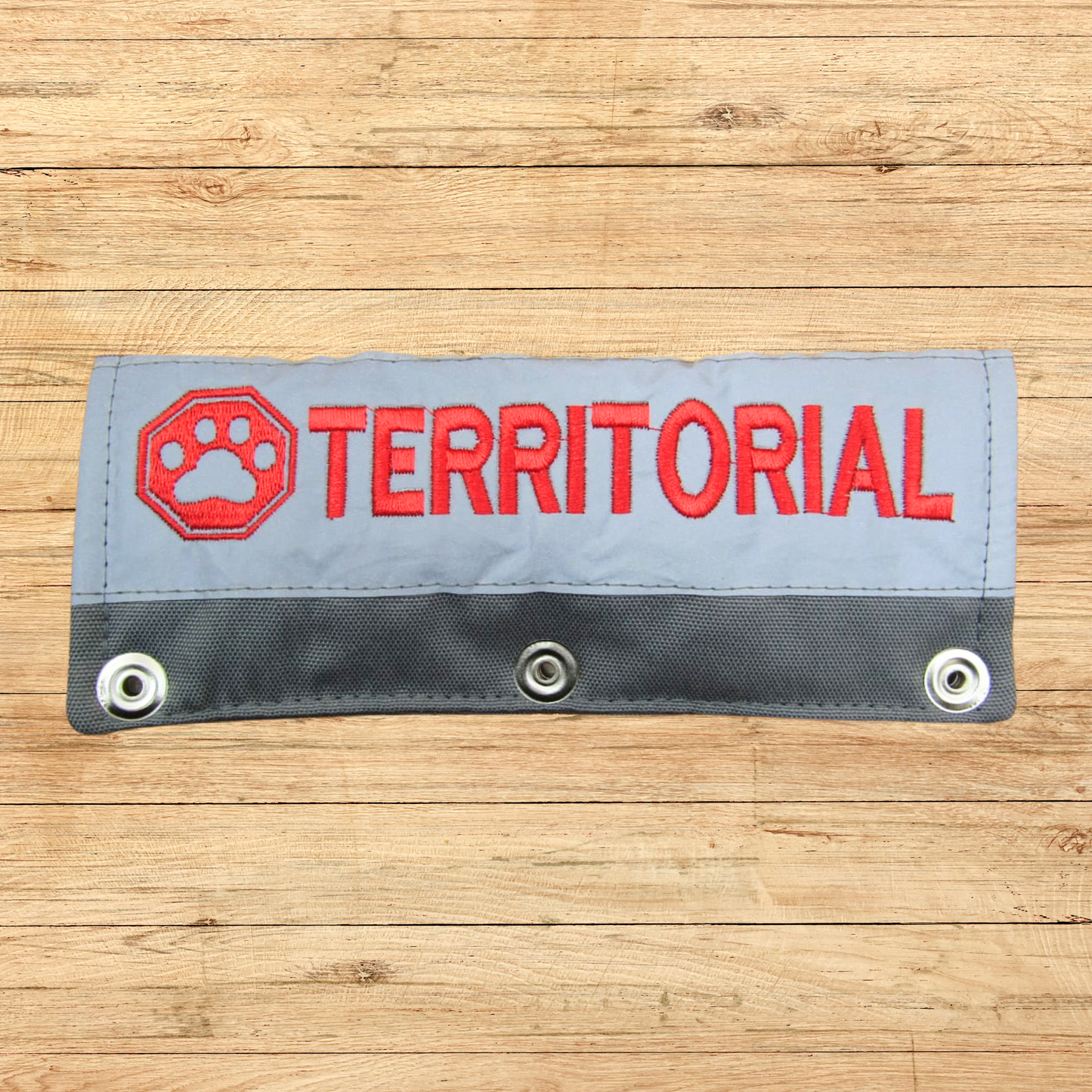 TERRITORIAL