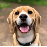 LICKI MAT CUADRADO 4 DIVISIONES