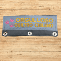 ORGULLOSO QUILTRO CHILENO